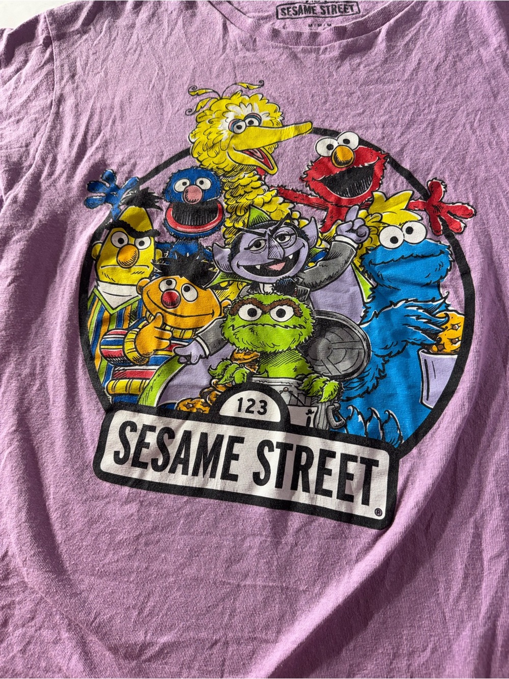 Sesame Street medium  Tee - Lavender with Multi-Color Character Print - Picture 2 of 4